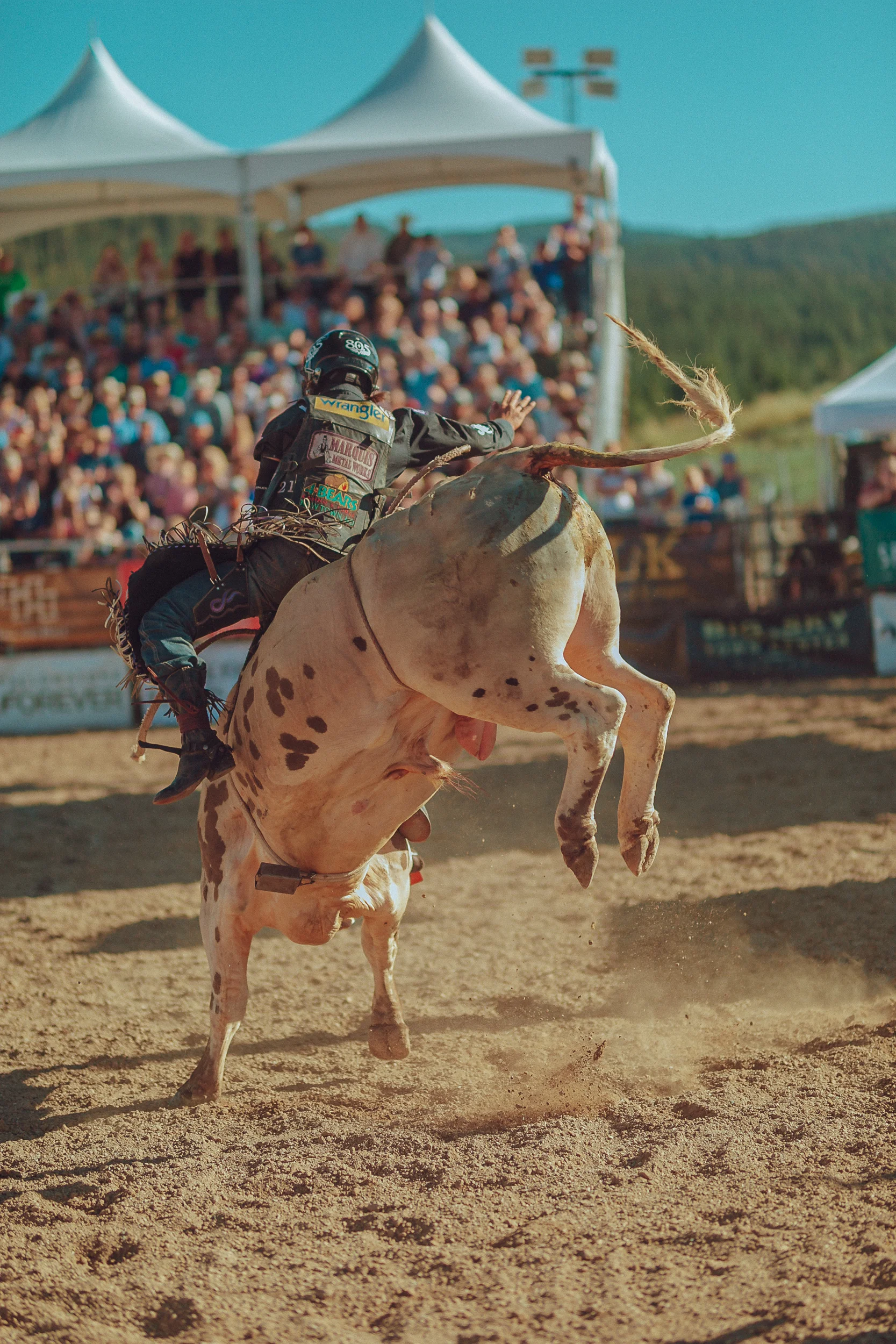 RODEO-21.jpg