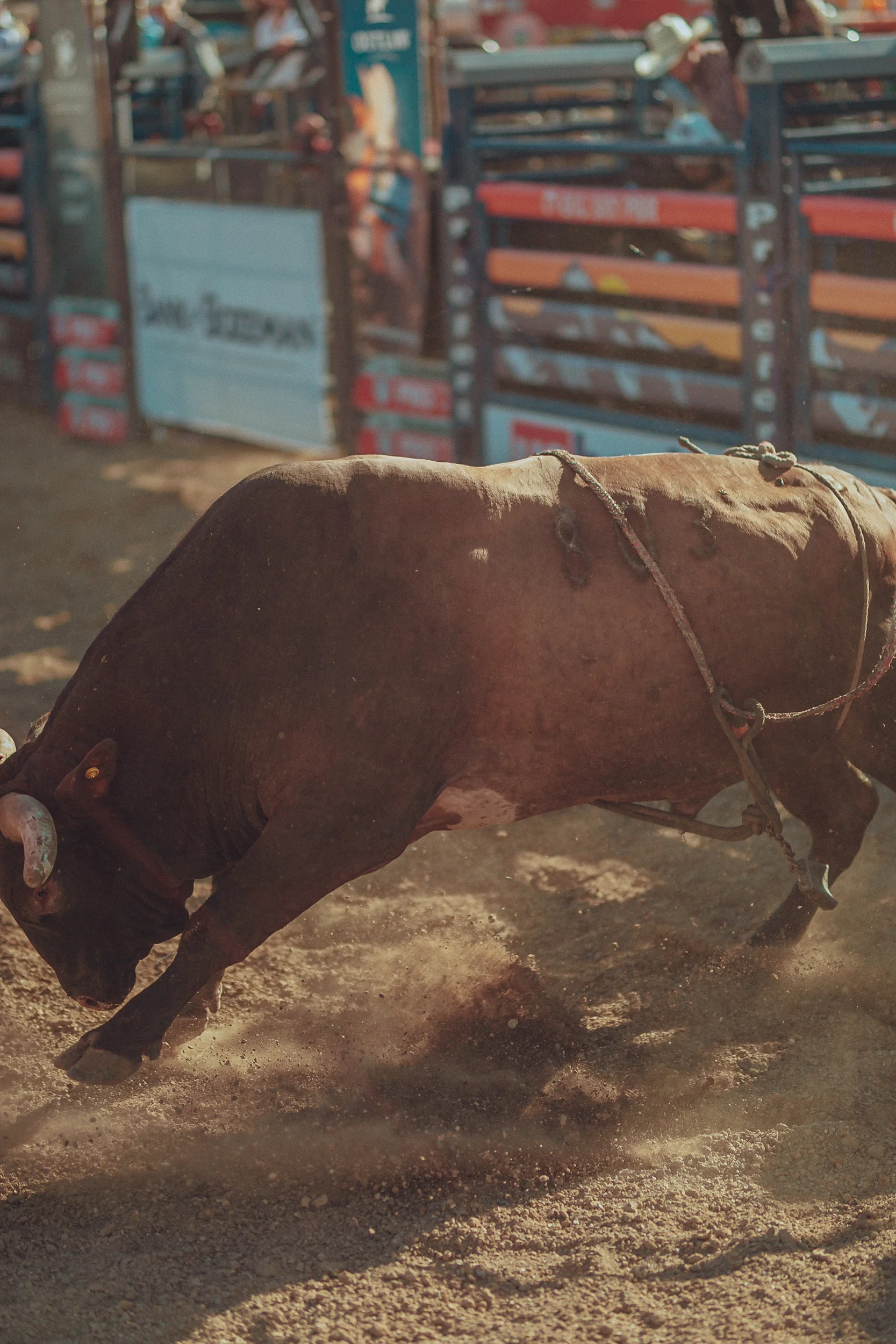 RODEO-27.jpg