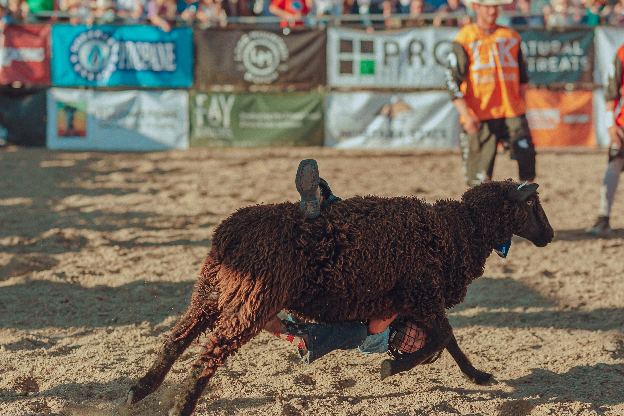 RODEO-41.jpg