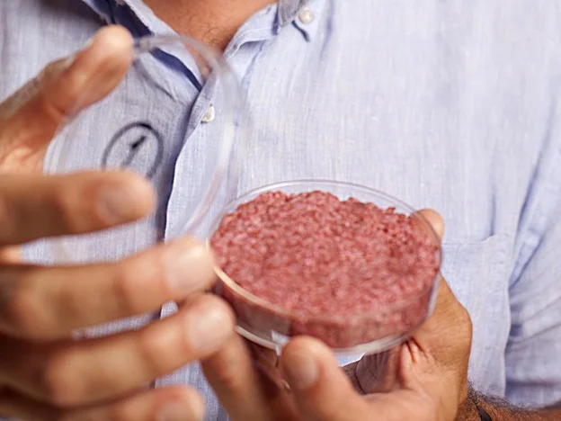cultured-beef-03-7235289a98d8b857165d8d831abbc00113b30357-s4.jpg