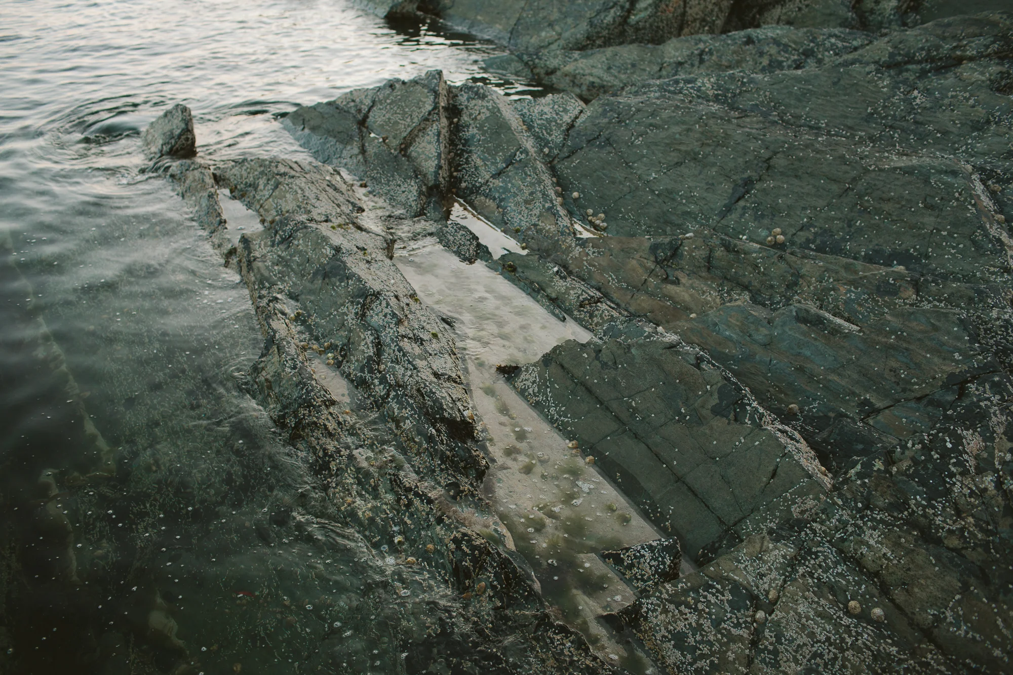 iom2015_elizabethbristolphoto-38.jpg