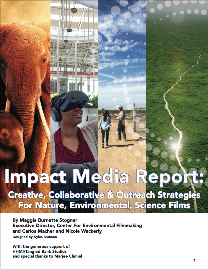 CEF-Impact Media Report2020_Cover.png