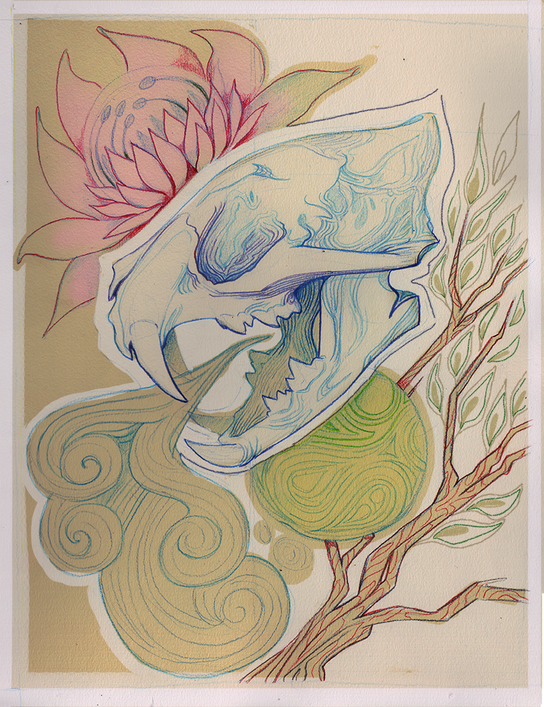 skulltesxtures.png