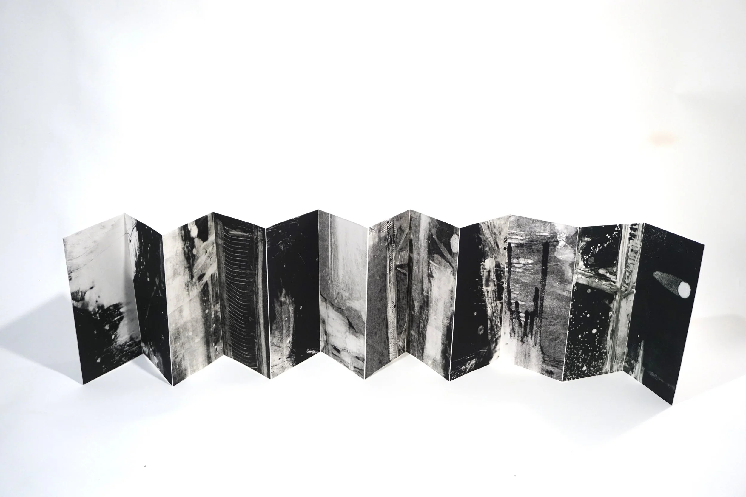 Accordion book 9x4 12 panels.