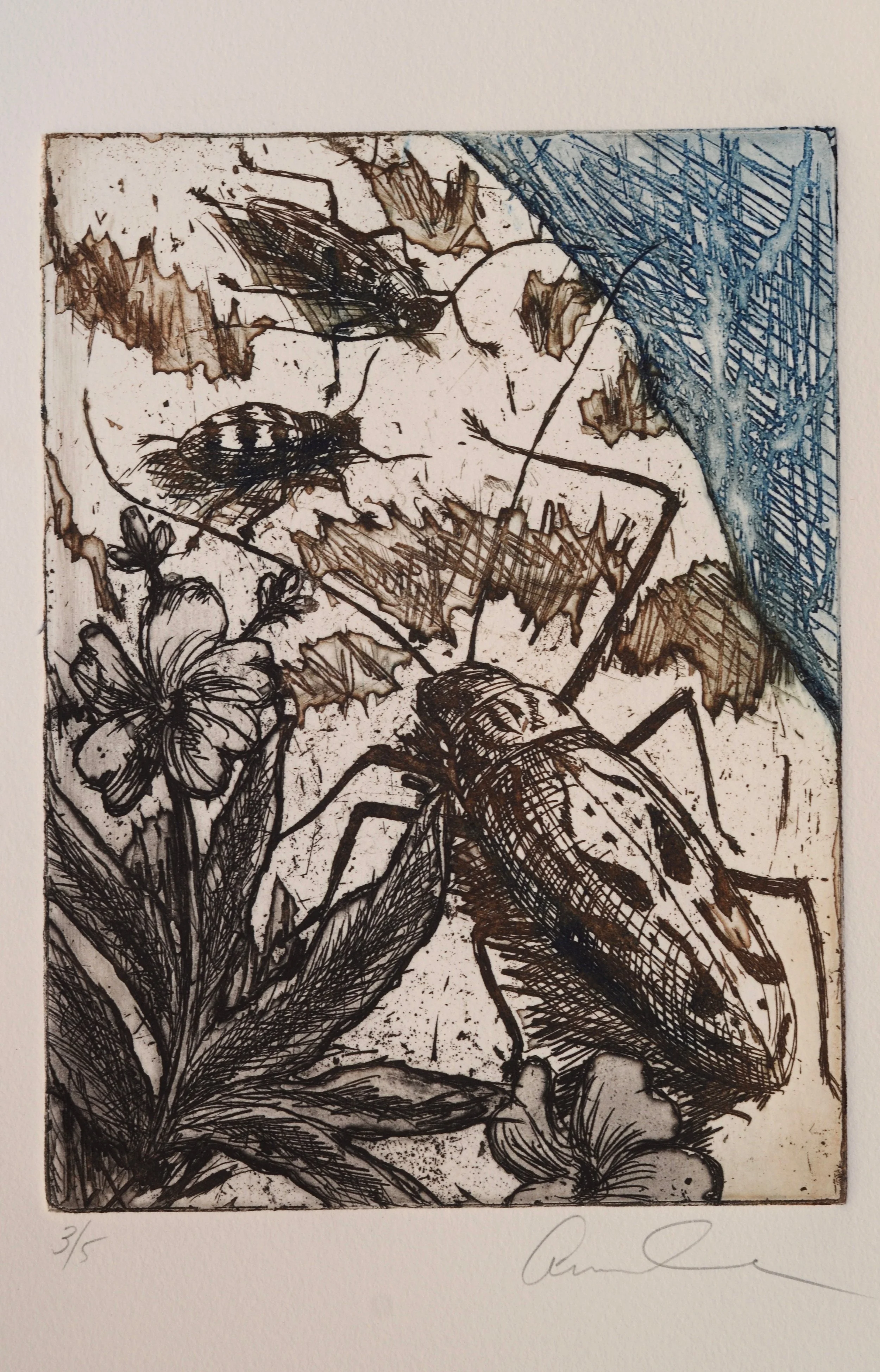 Anne Cook Etching Introduction to Printmaking
