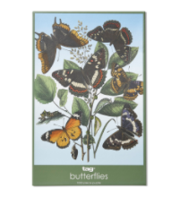 Butterflies Puzzle
