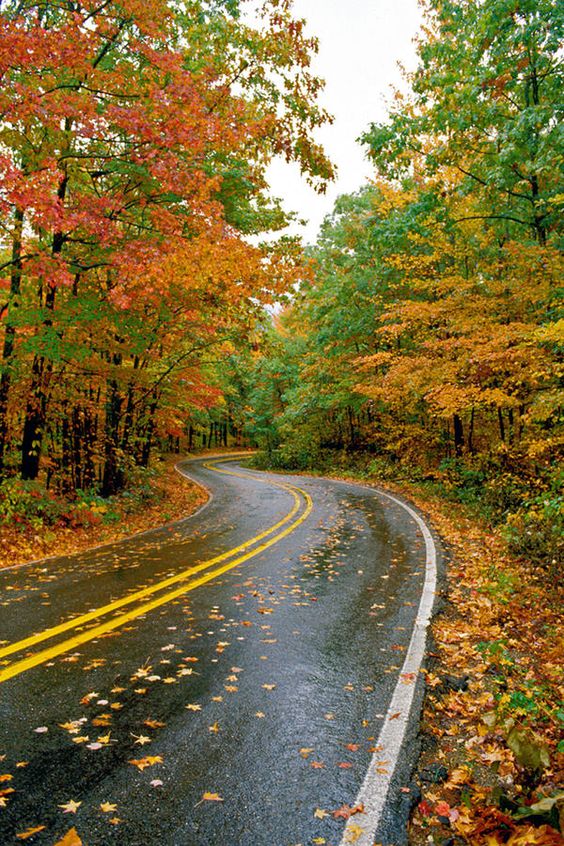 Photo: Southern Living