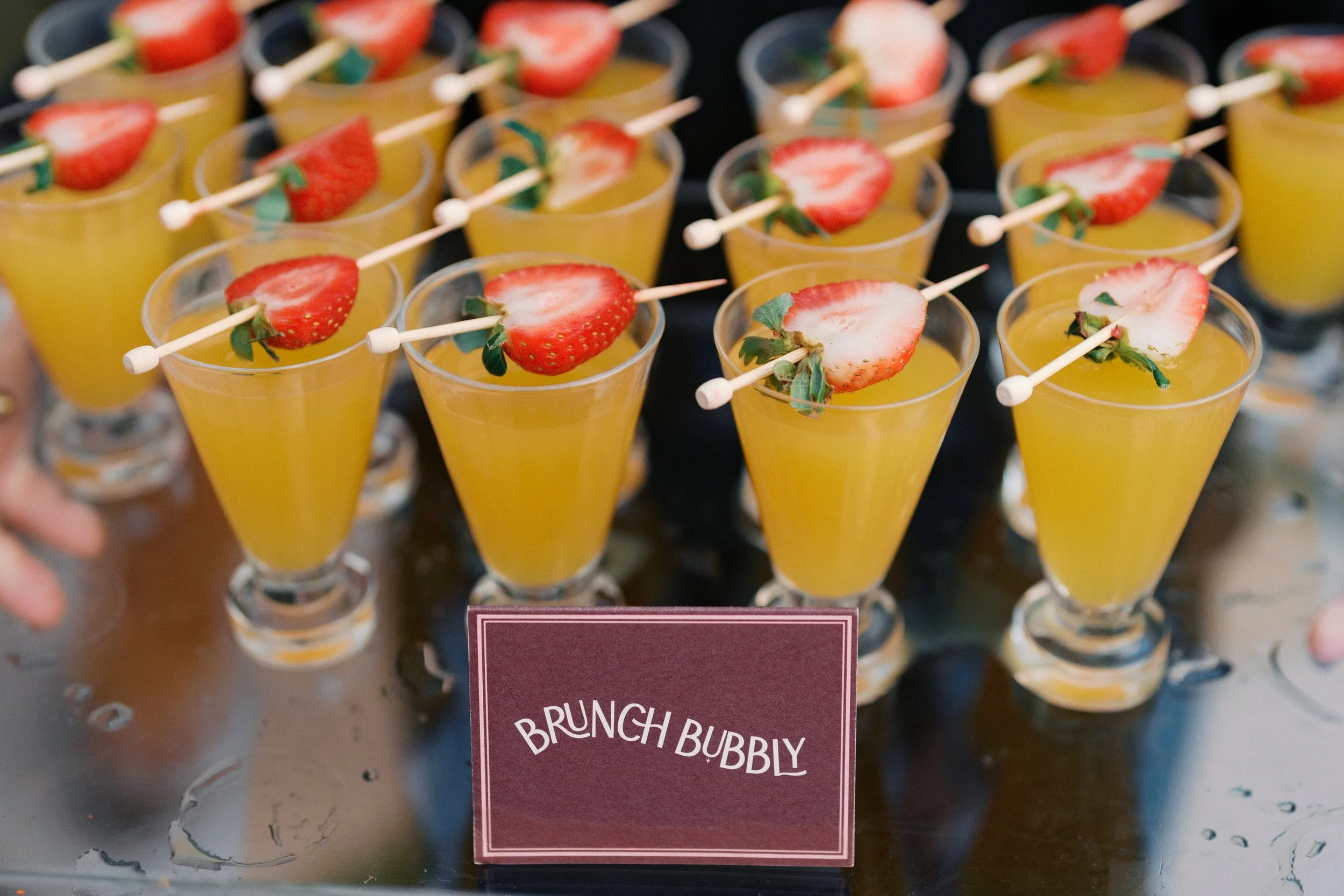 BradfordBrunchNov2025TCP-219 (1).jpg