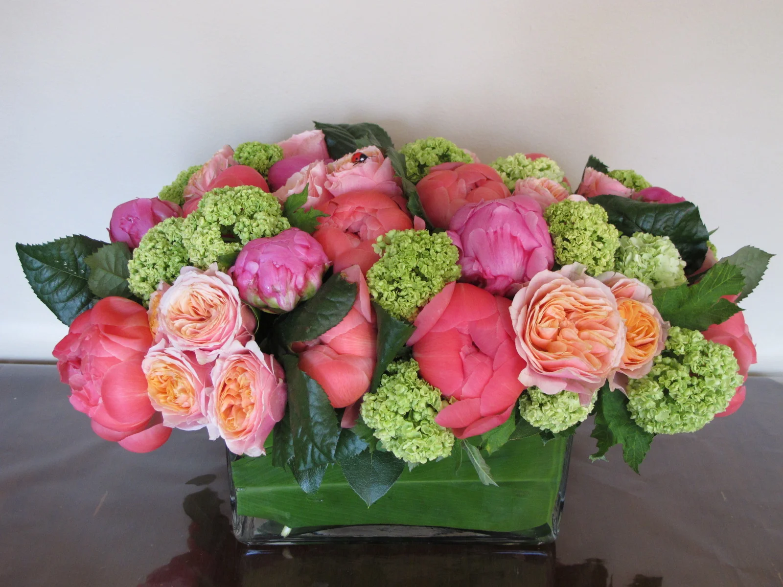 Coral peonies, Juliet garden roses & Viburnum