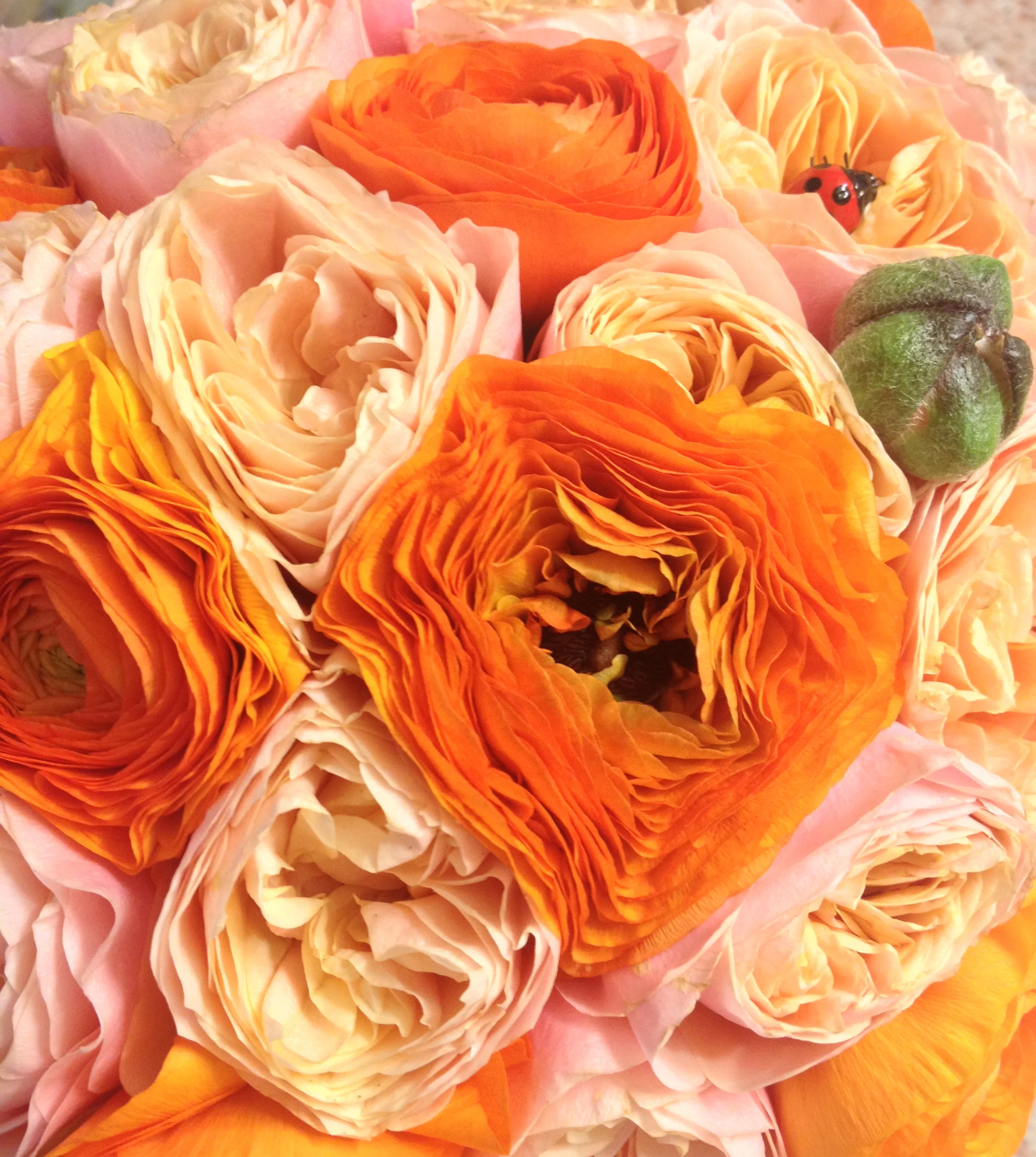 Rannunculus & Garden Roses