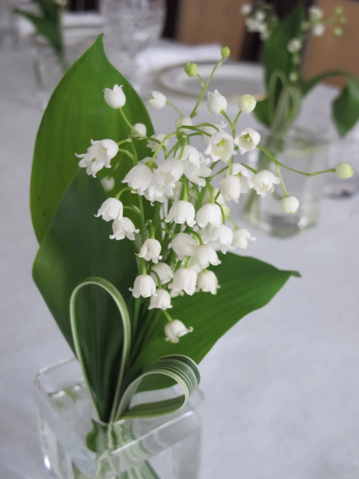 Lily of the valley
