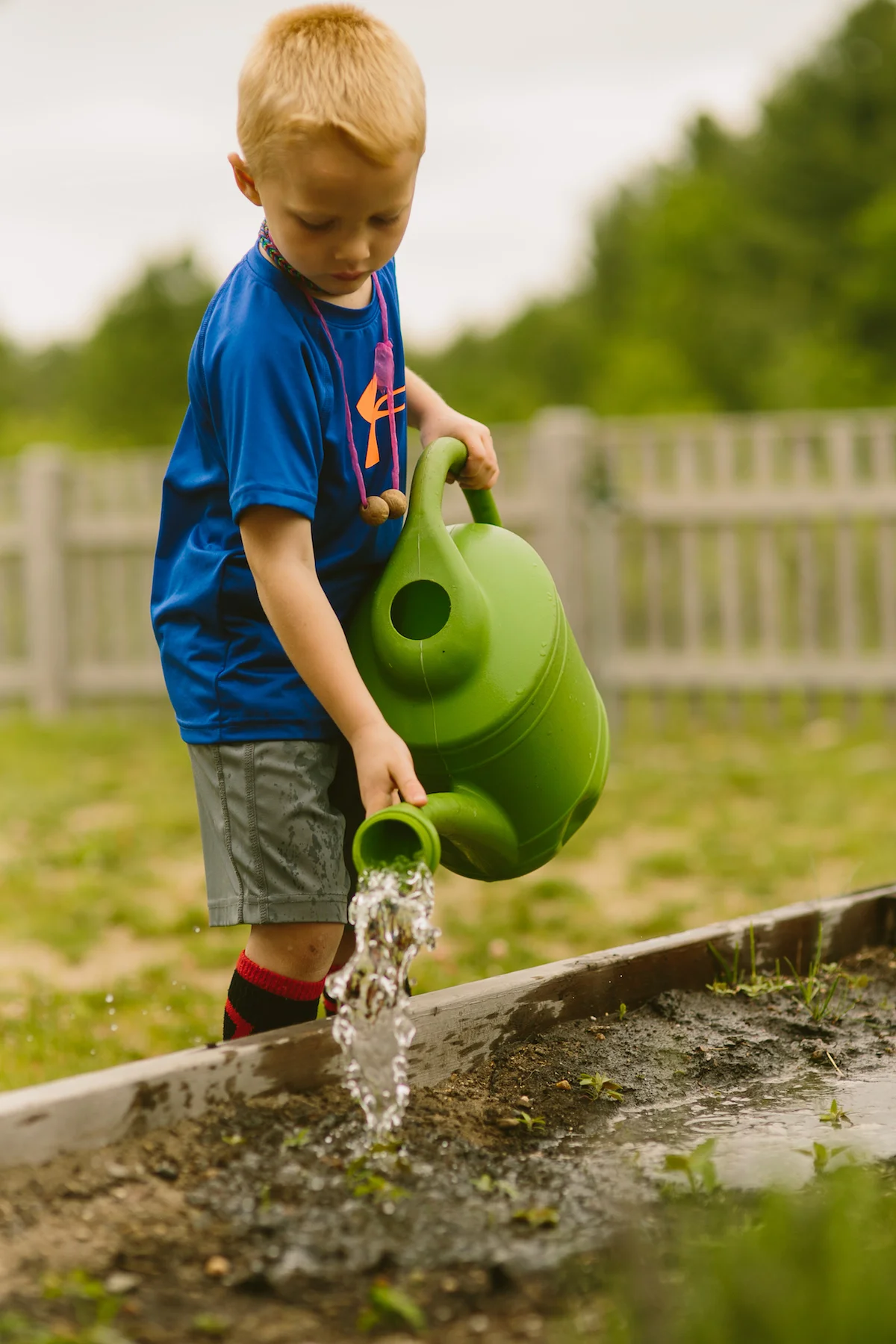 earthdayblog.jpg
