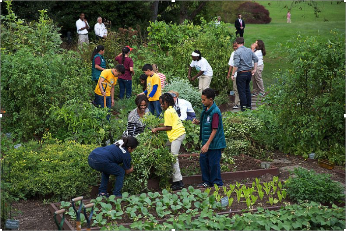 Annual Harvest at the White House Kitchen Garden, Oct. 14, 2014.