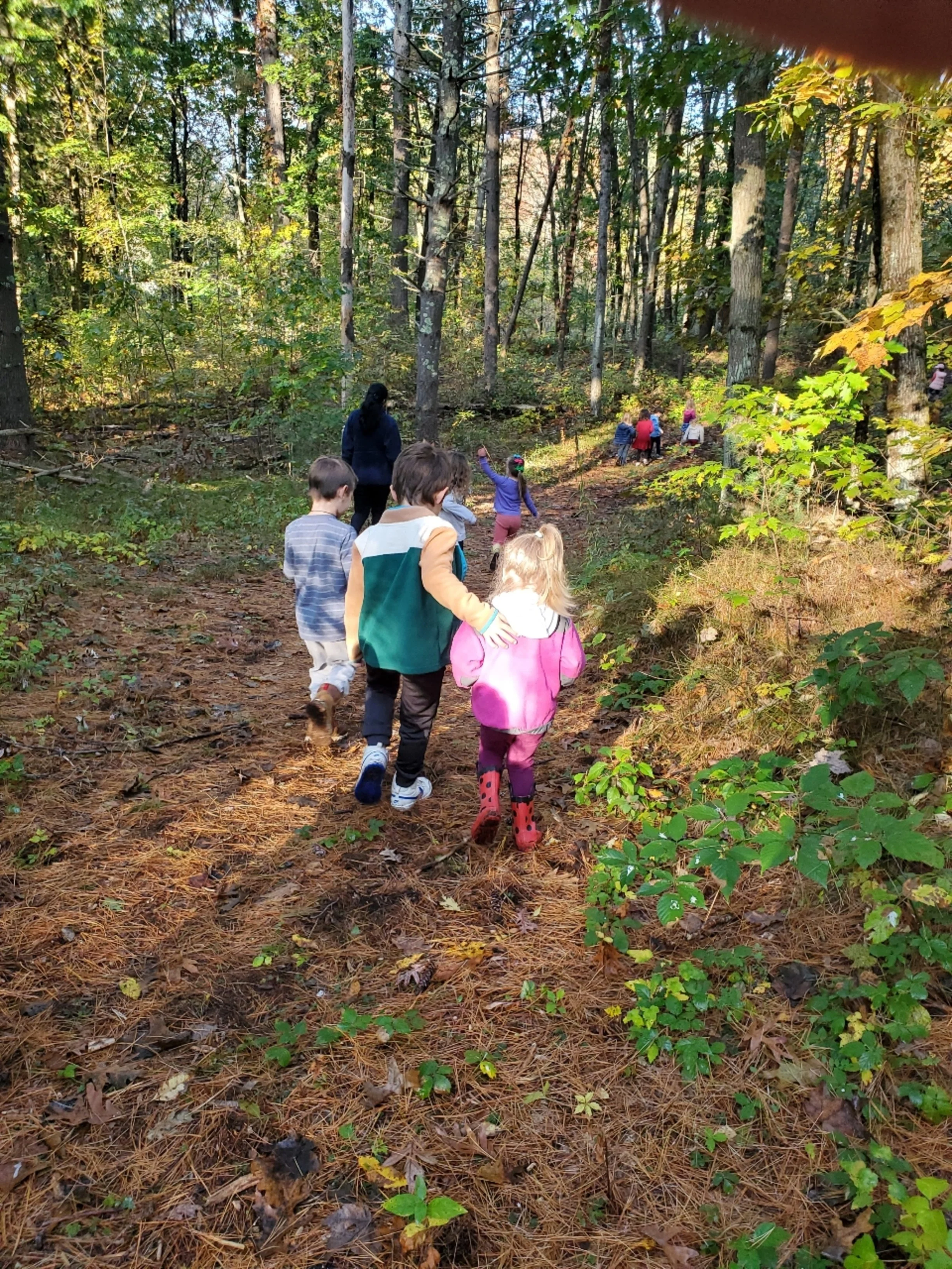 Caring in the woods.original.jpeg