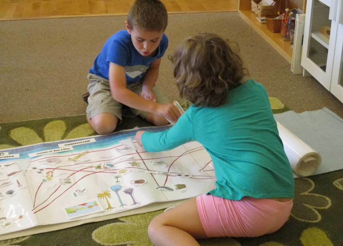 Materials Spotlight: The Timeline of Life