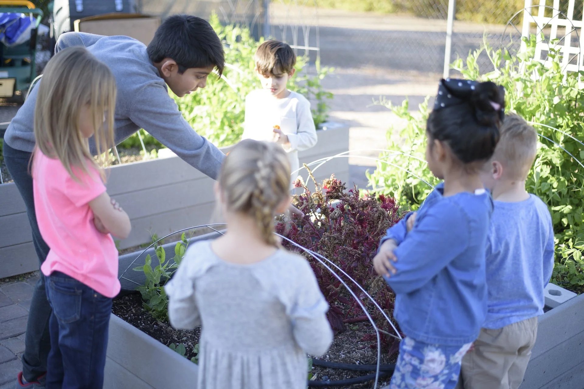 Summer Is a Biology Lesson: Family Explorations of the Living World