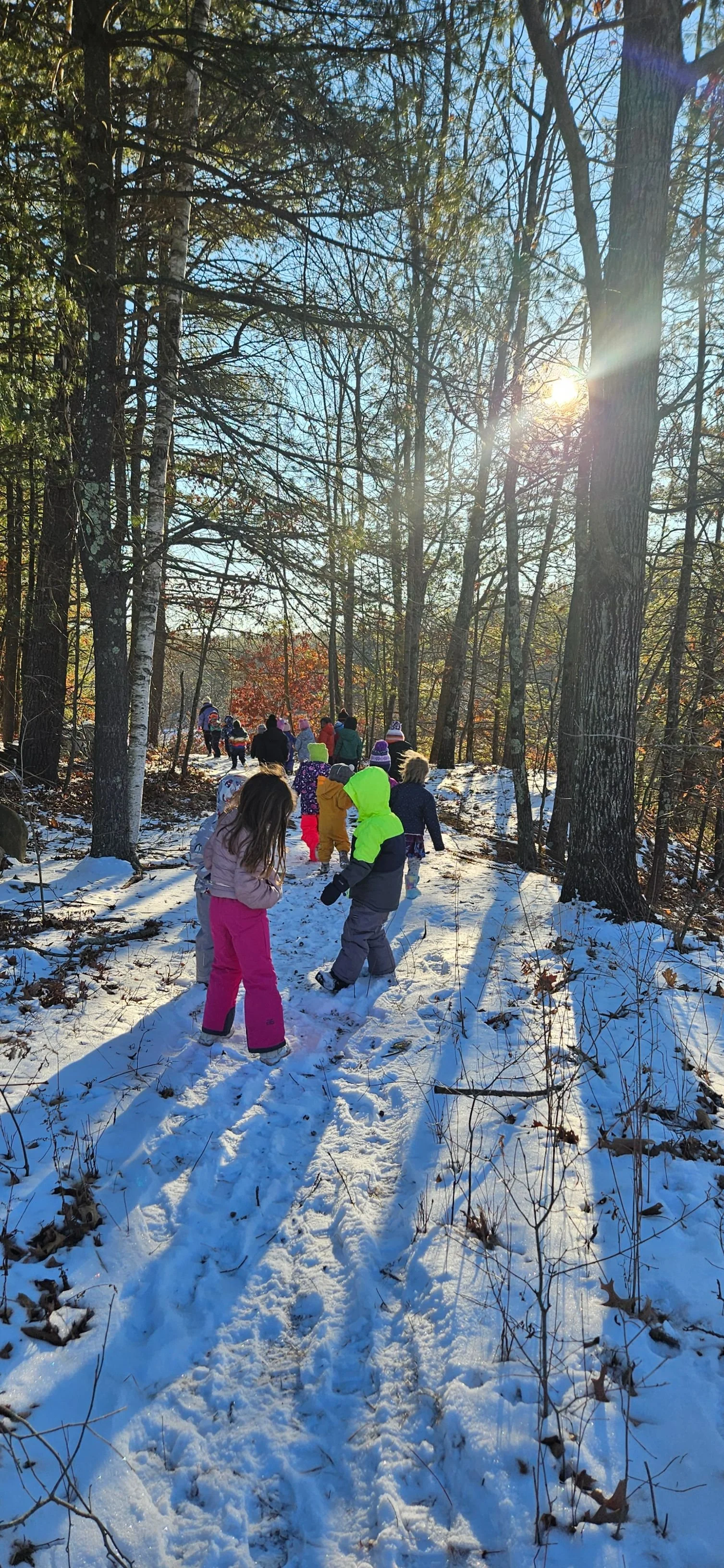 Winter in the woods.jpg