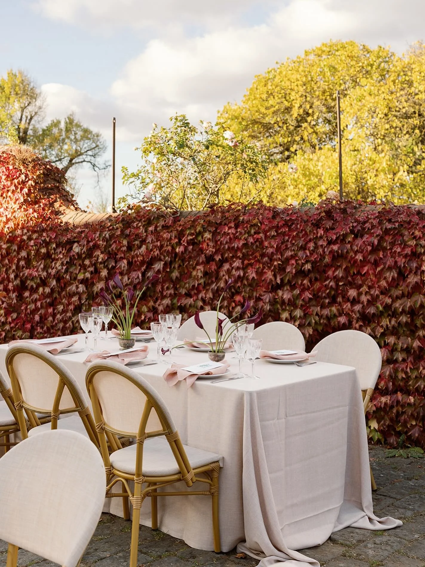 Luscious celebrations in our romantic courtyard ❤️ 
⠀⠀⠀⠀⠀⠀⠀⠀⠀
⠀⠀⠀⠀⠀⠀⠀⠀⠀
Photographed by @smithandarcher