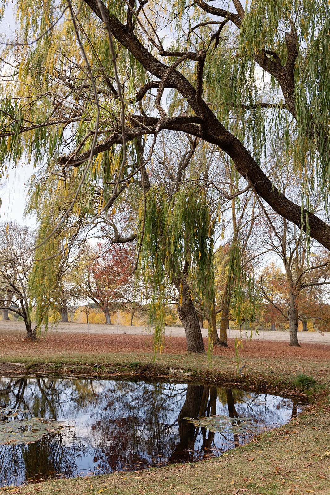 StAgnesshoot_Smith+ArcherPhotography_StAgnes_0089.jpg