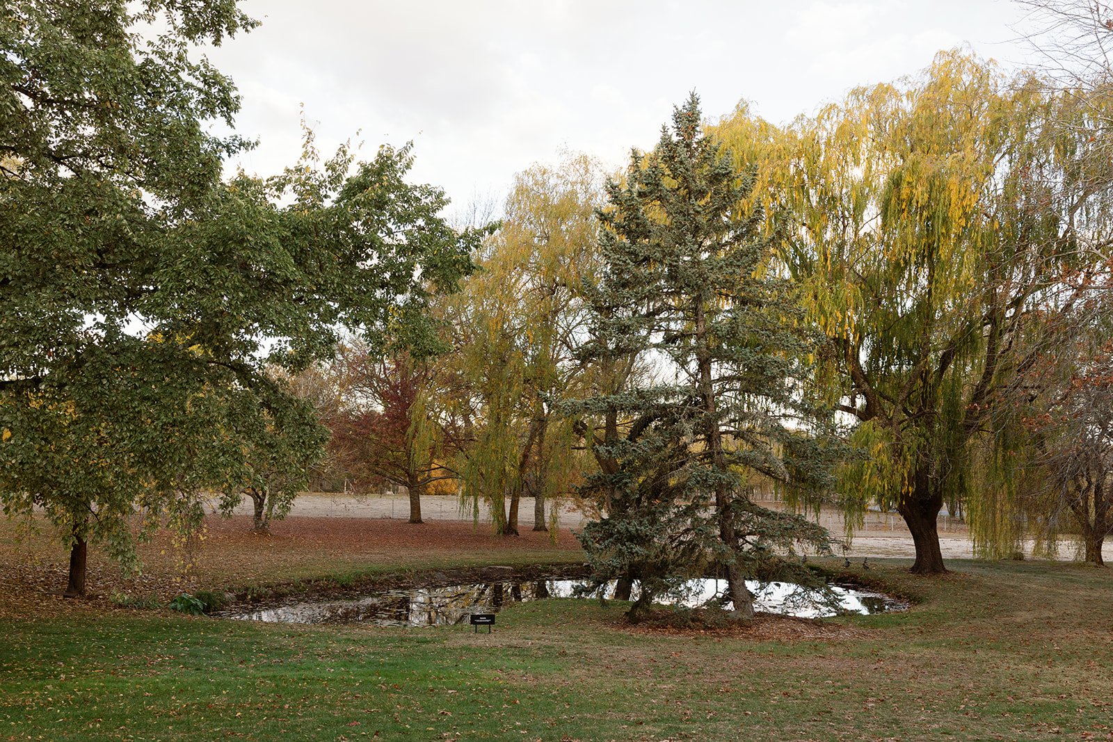 StAgnesshoot_Smith+ArcherPhotography_StAgnes_0246.jpg