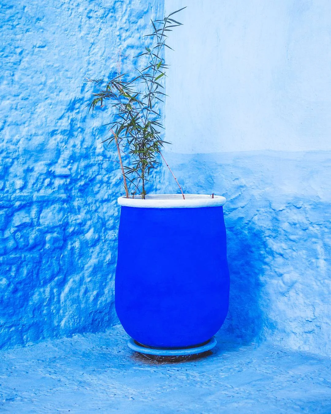 Blue Pot #3
