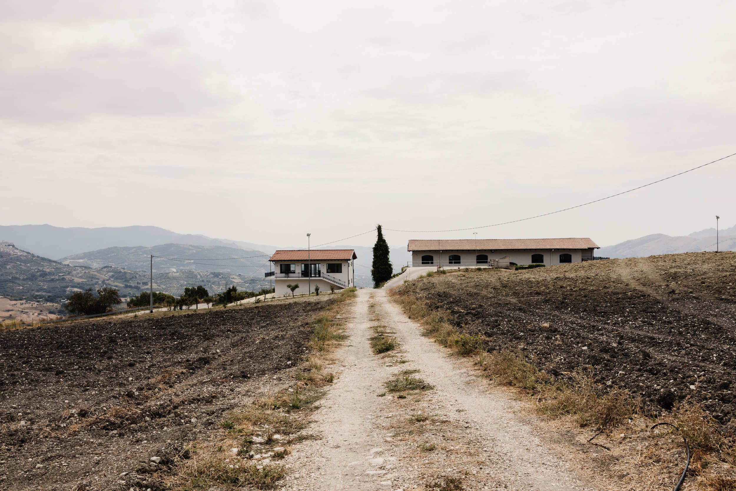 DiGiovanna Winery-1.jpg