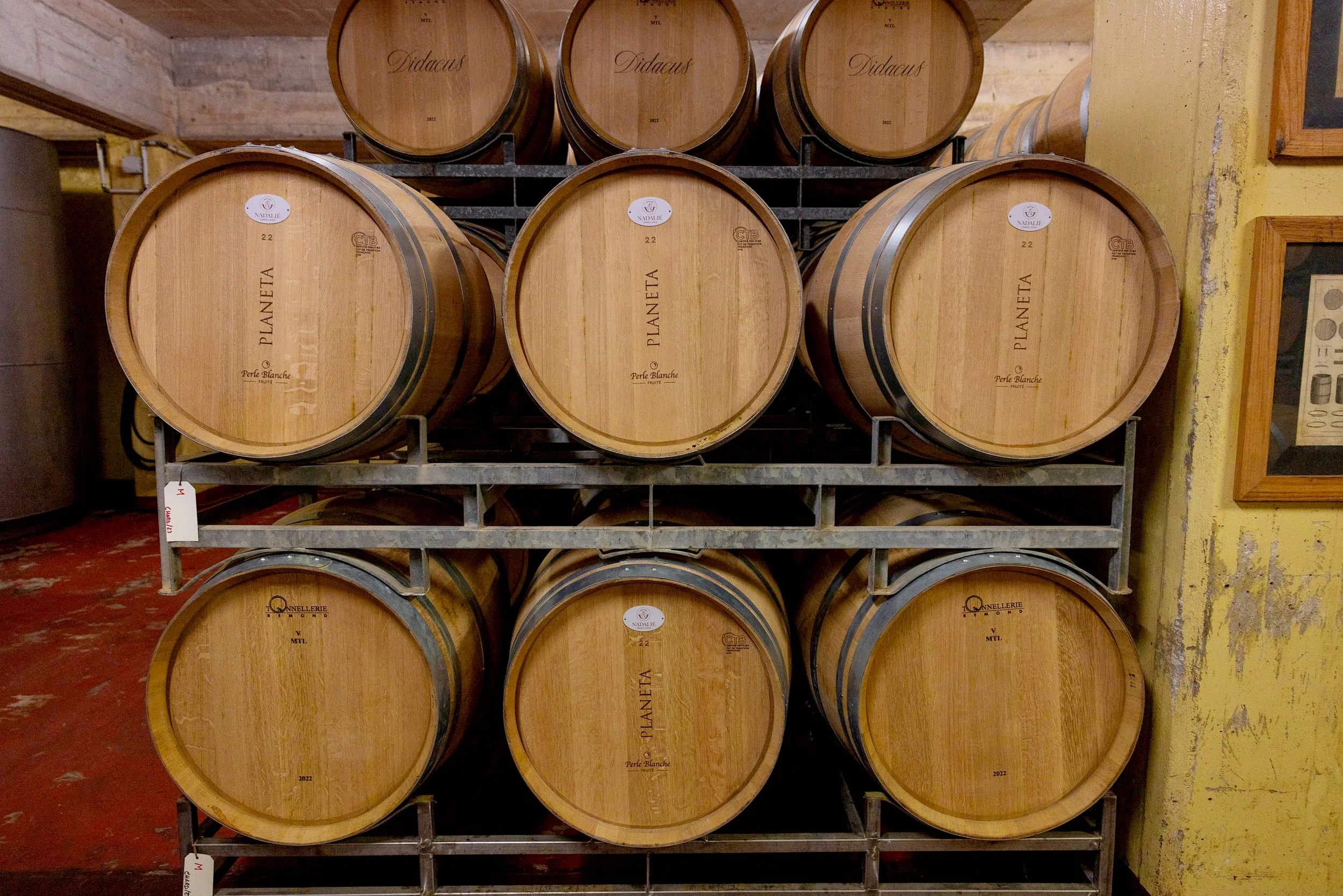 Planeta Winery -Ulmo-10.jpg