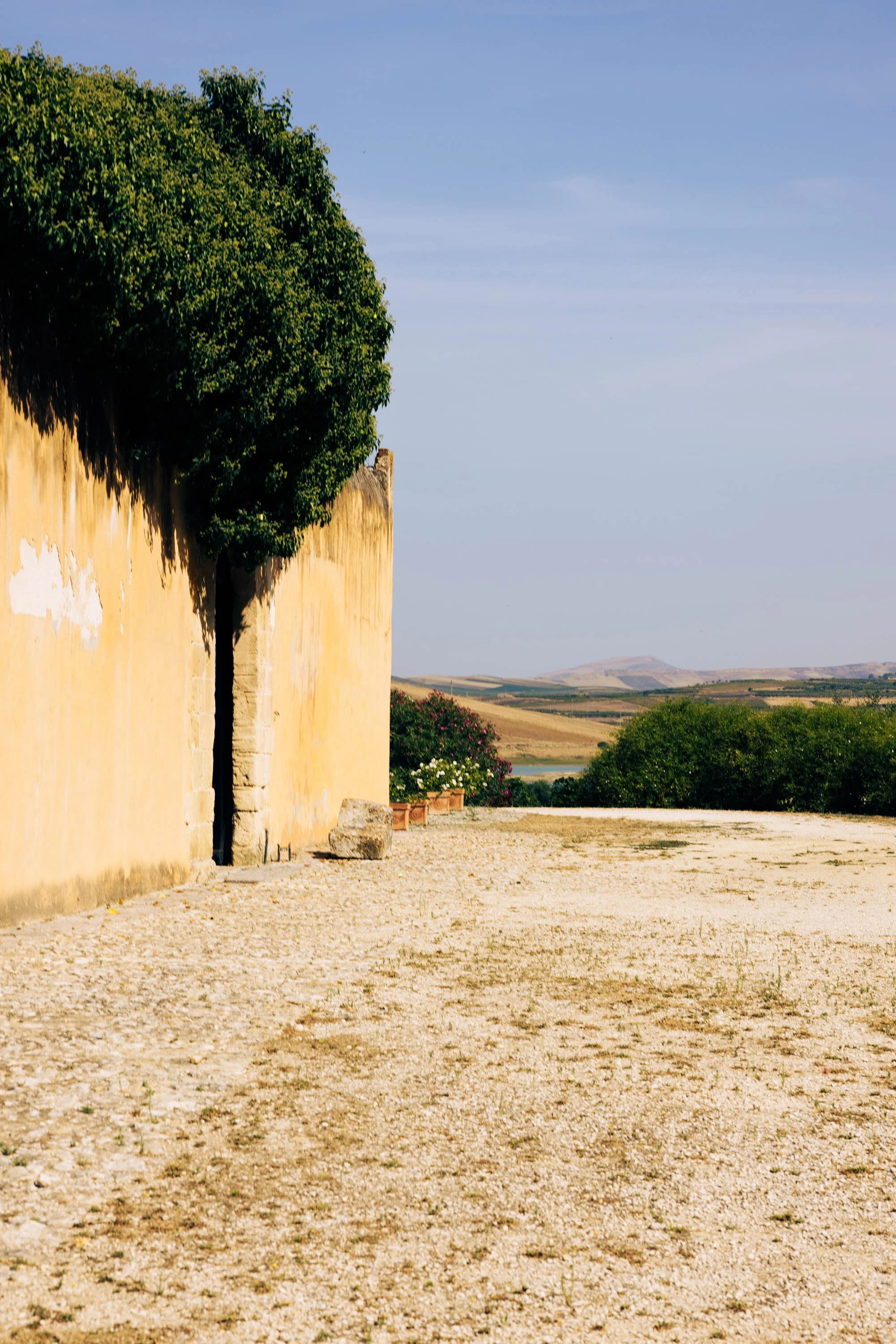 Planeta Winery -Ulmo-1.jpg