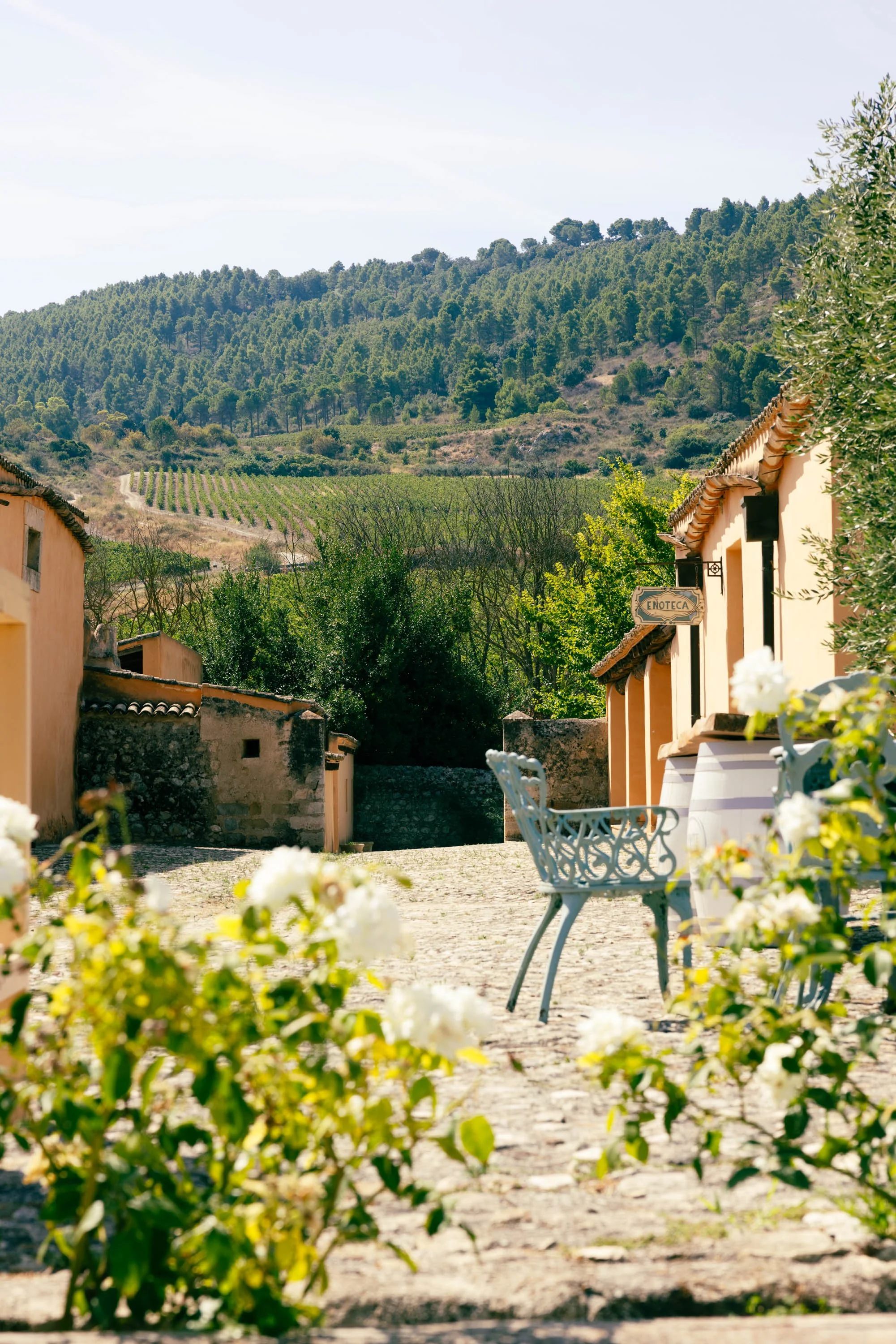 Planeta Winery -Ulmo-3.jpg