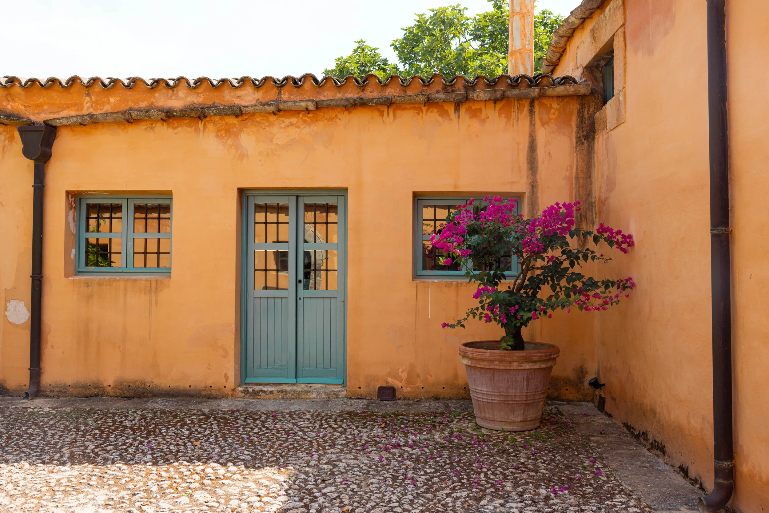 Planeta Winery -Ulmo-19.jpg