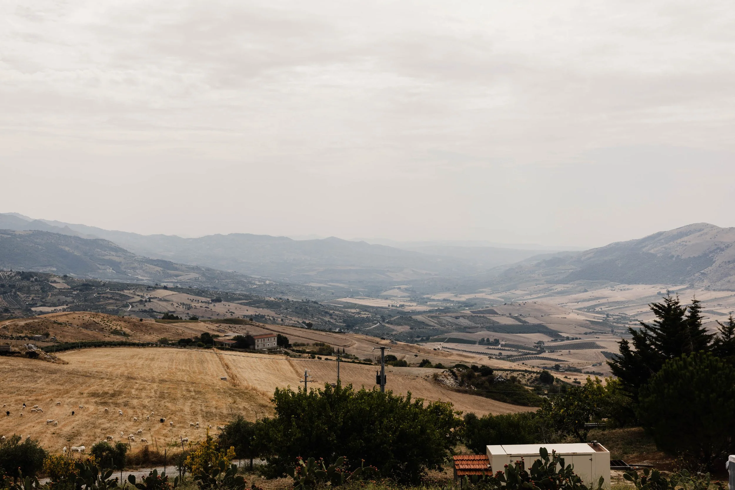 DiGiovanna Winery-2.jpg