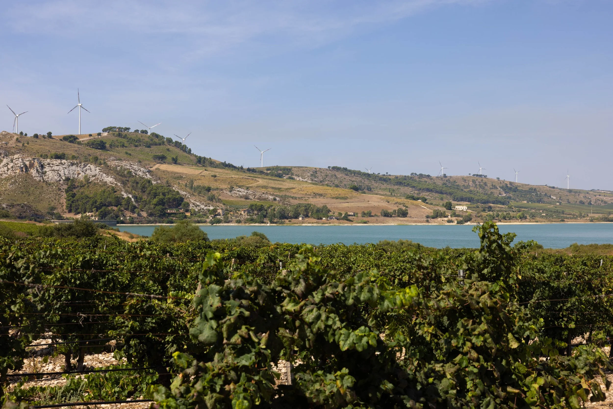 Planeta Winery -Ulmo-7.jpg