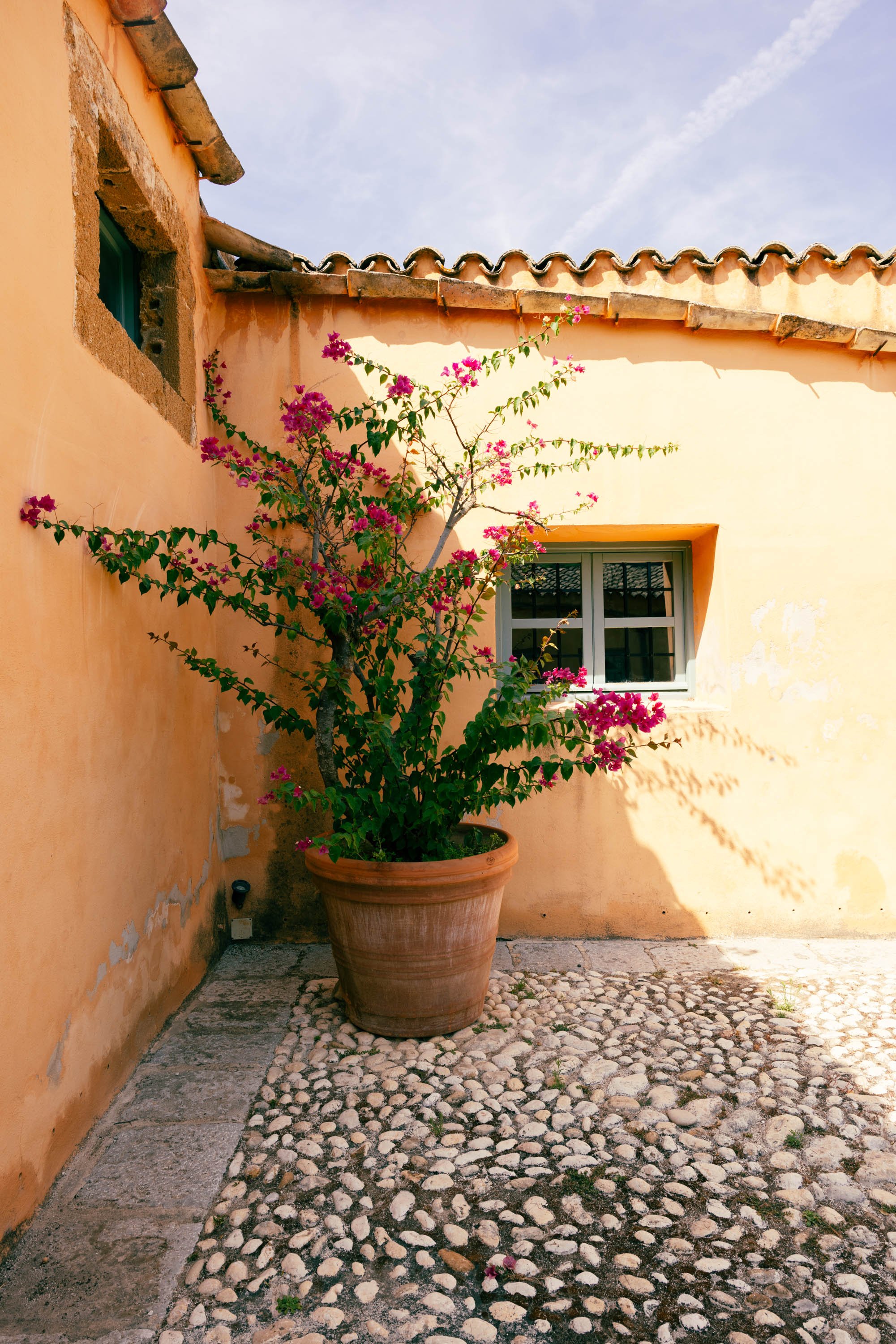 Planeta Winery -Ulmo-15.jpg