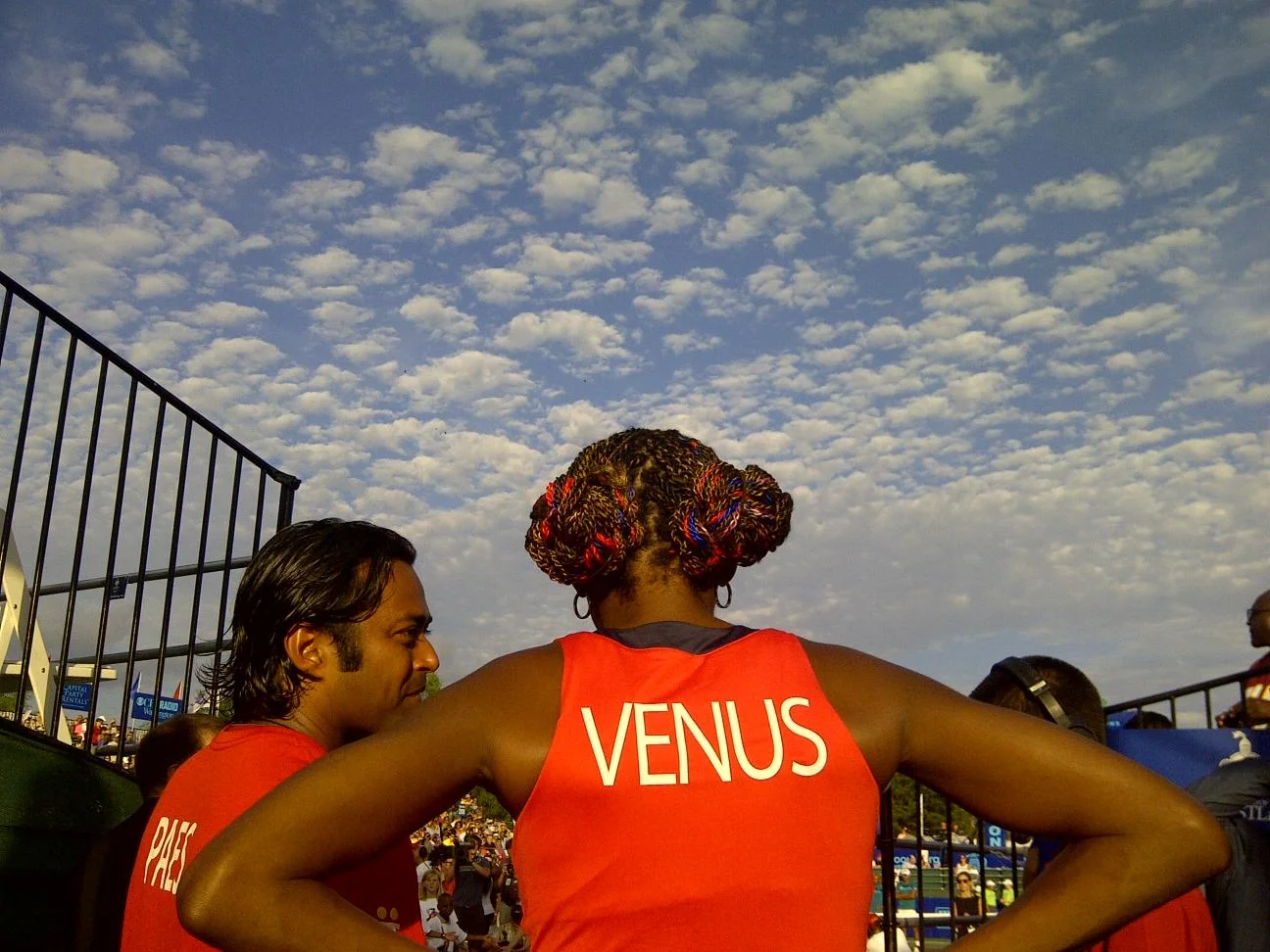 Venus_back.jpg