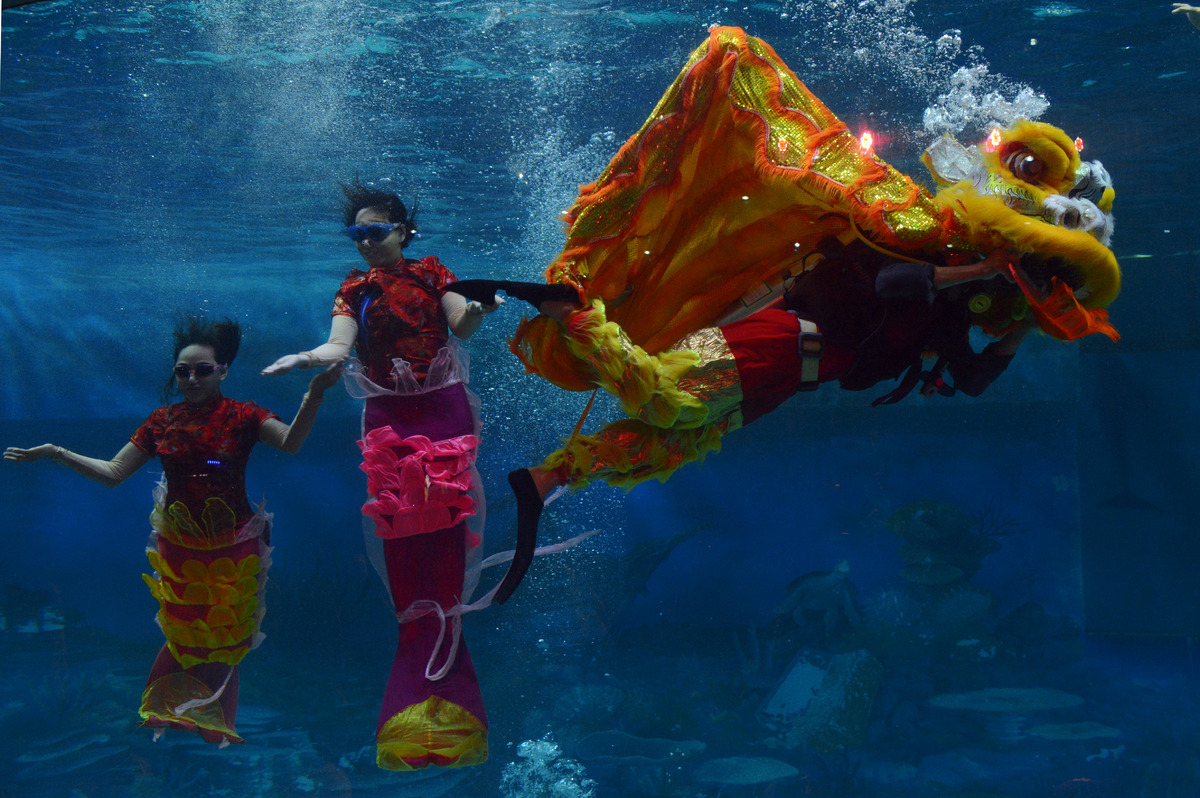 Indonesian performers dressed as mermaids wearing traditional Chinese cheongsam dress and a lion perform underwater in a special program celebrating the Lunar New Year at Jakarta's Ancol park on January 31, 2014. The Lunar New Year of the Horse falls on January 31. AFP AFP PHOTO / ROMEO GACAD (Photo credit should read ROMEO GACAD/AFP/Getty Images)