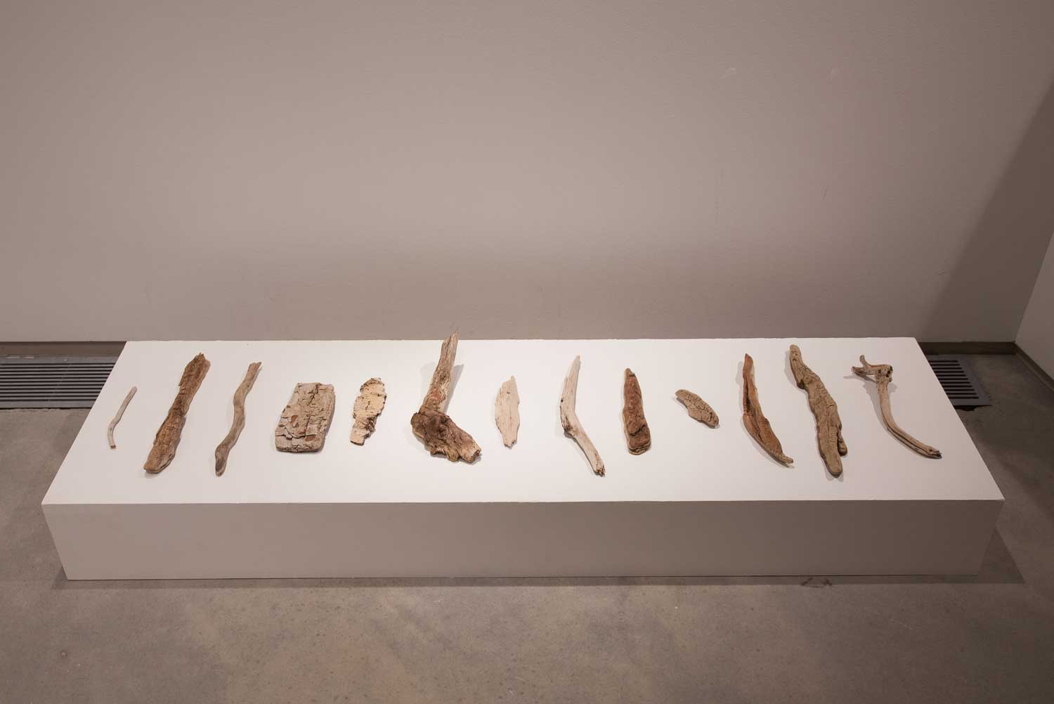 Snake River Driftwood, found objects, dimensions variable
