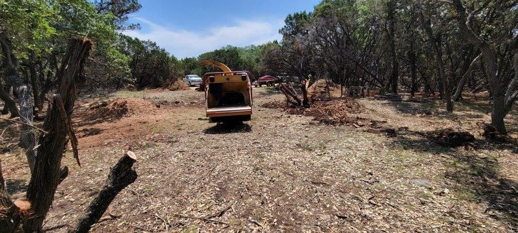 Habitat House 24 Lot Clearing (2).jpg