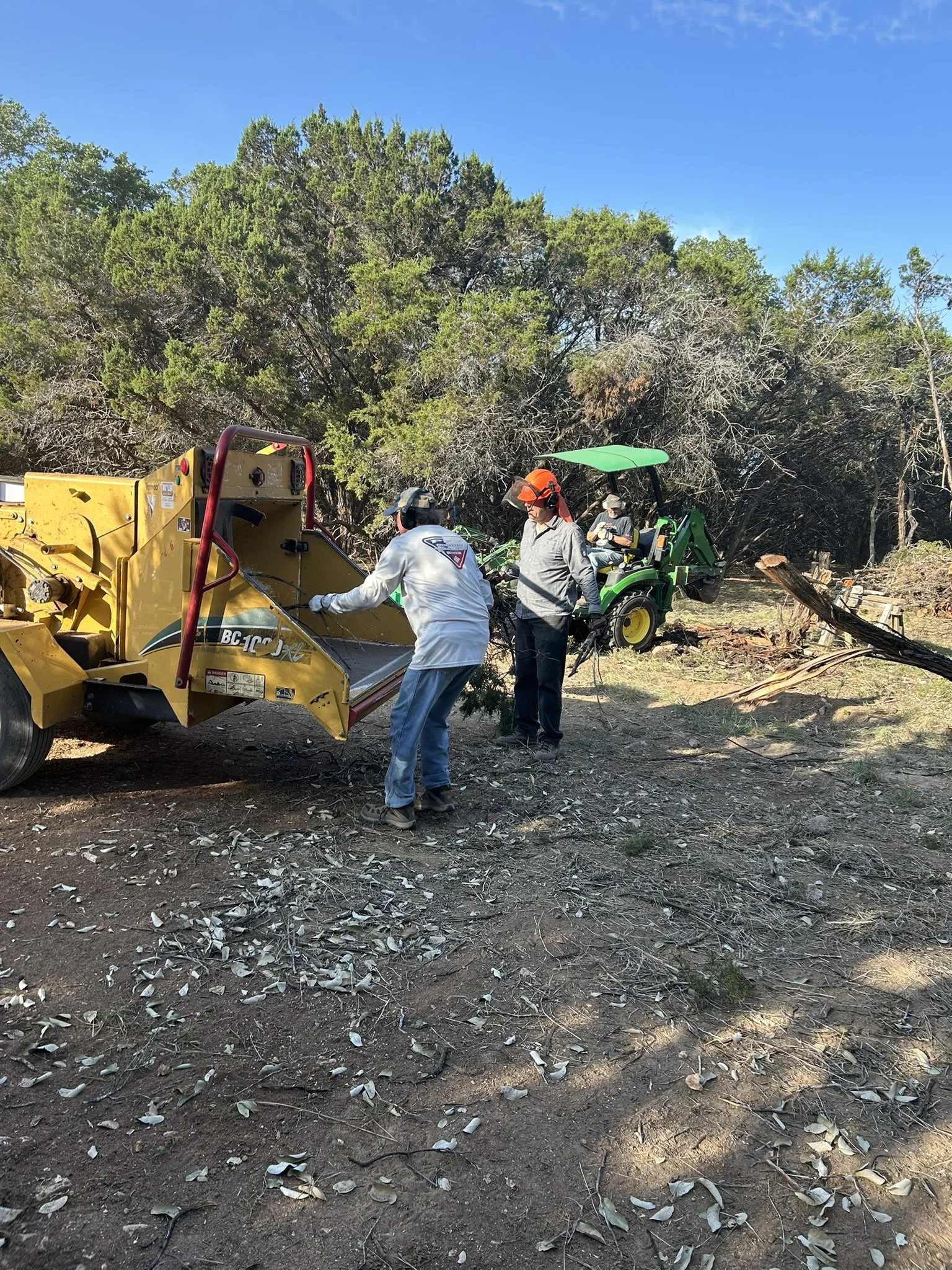 Habitat House 24 Lot Clearing (3).JPEG