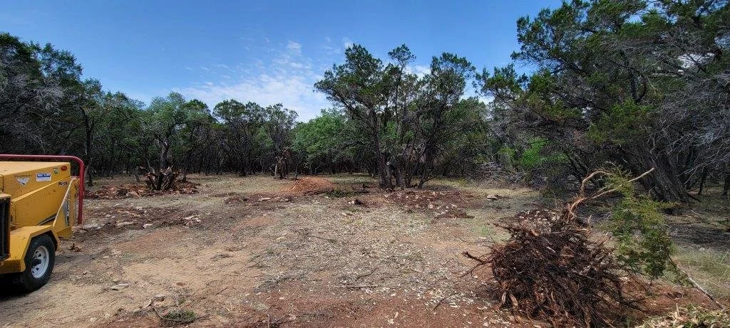 Habitat House 24 Lot Clearing (3).jpg