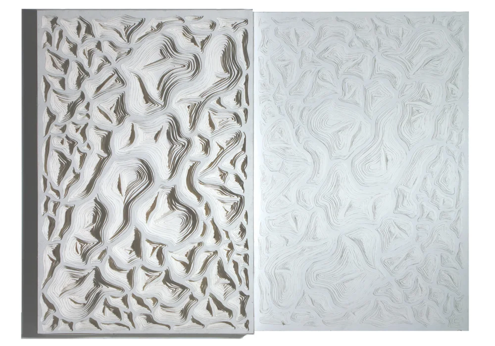 Reticulated Pattern 1