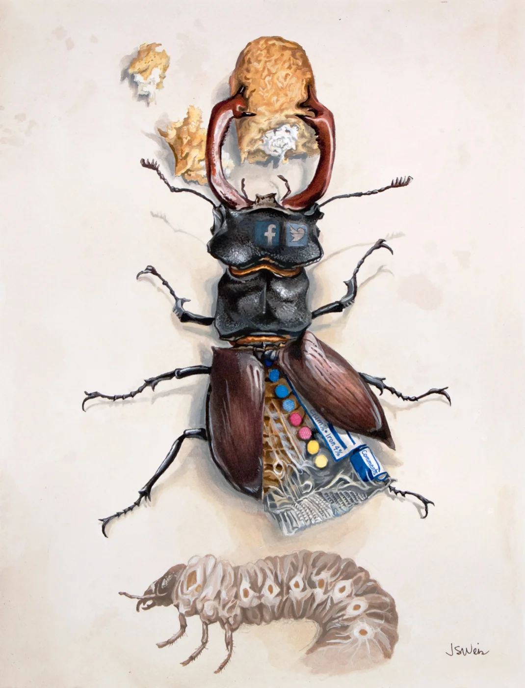 HostessBeetle.jpg