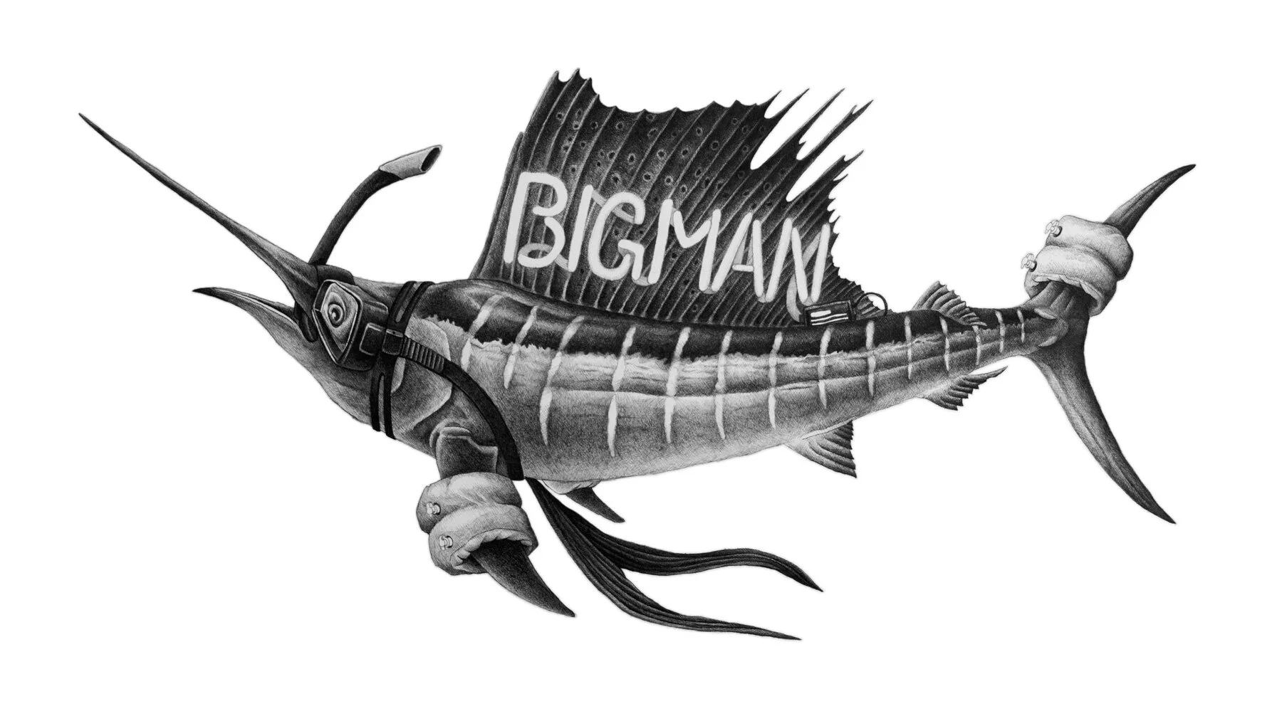 Big-Man_Sailfish-Trophy_Final.jpg