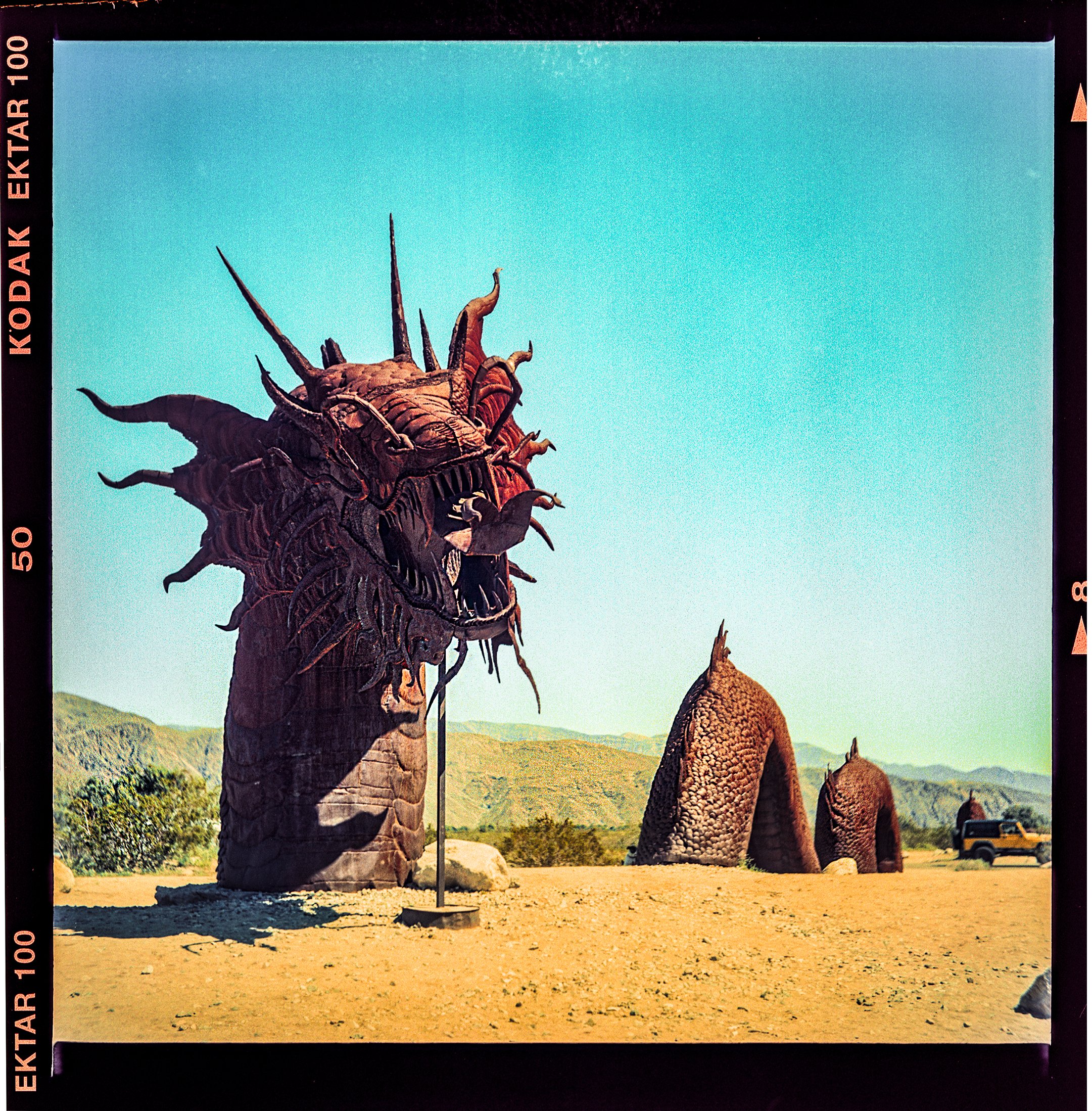 Borrego120_Dragon002.jpg