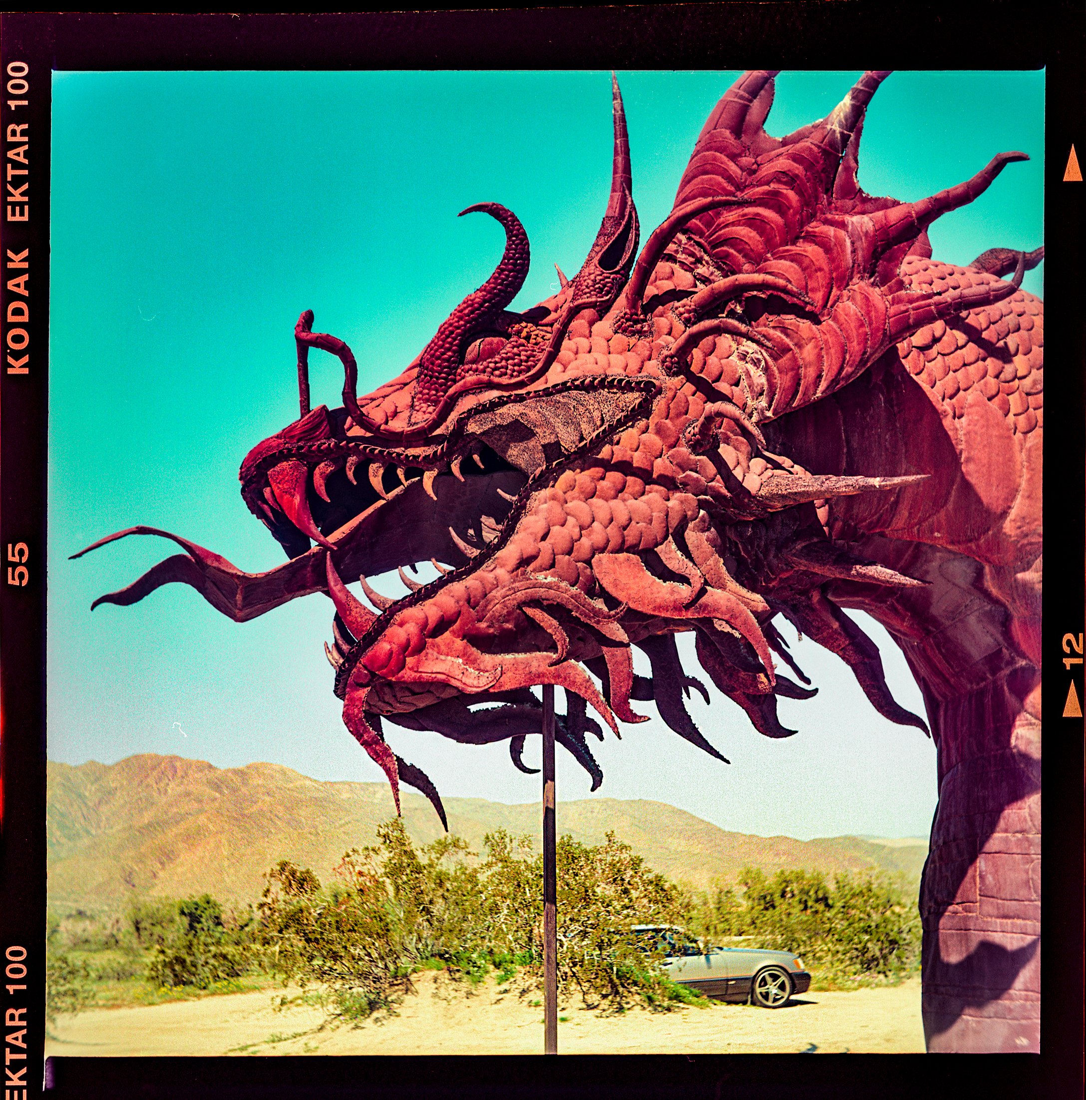 Borrego120_DragonHead003.jpg