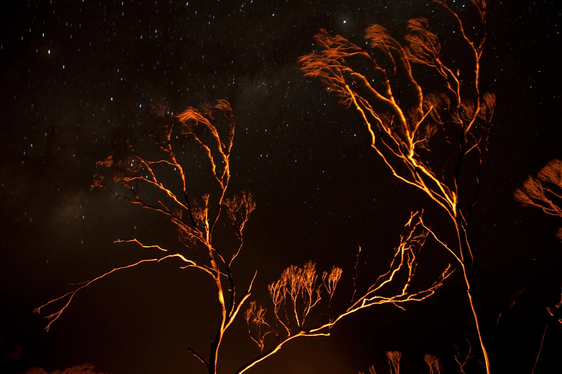 Nullabor Plain ghosts
