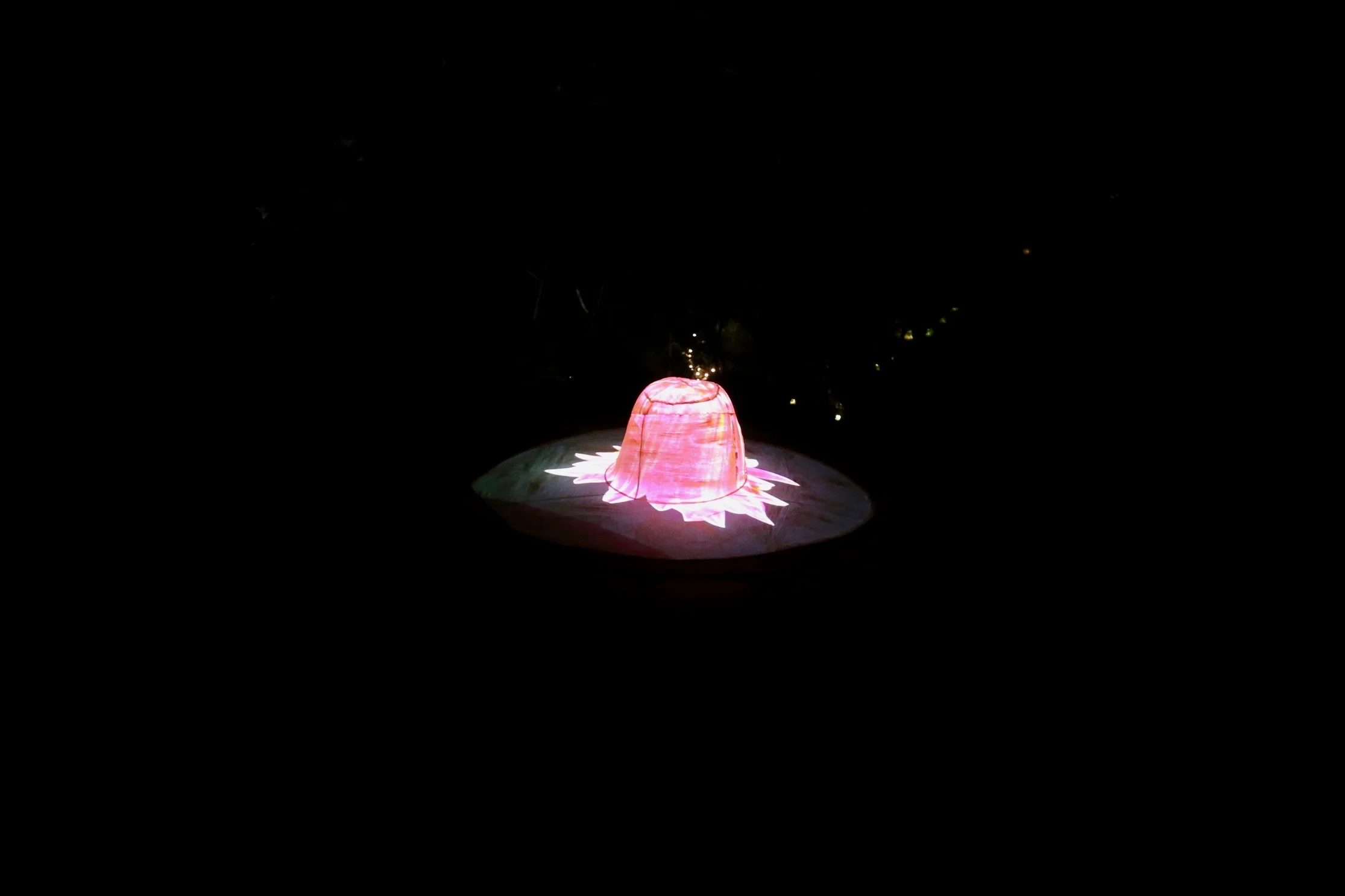 Lotus Nipple