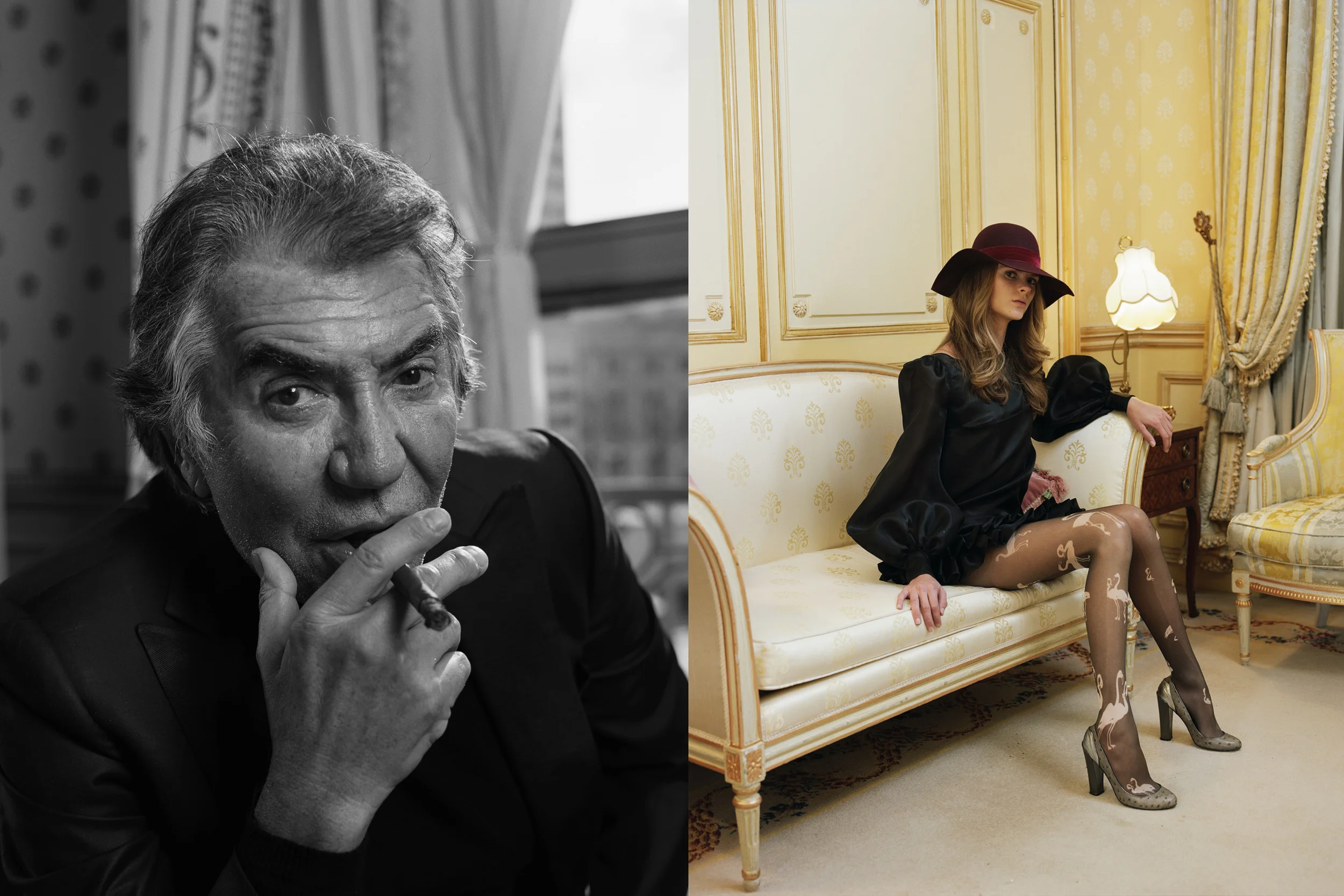 cavalli by p fraser.jpg