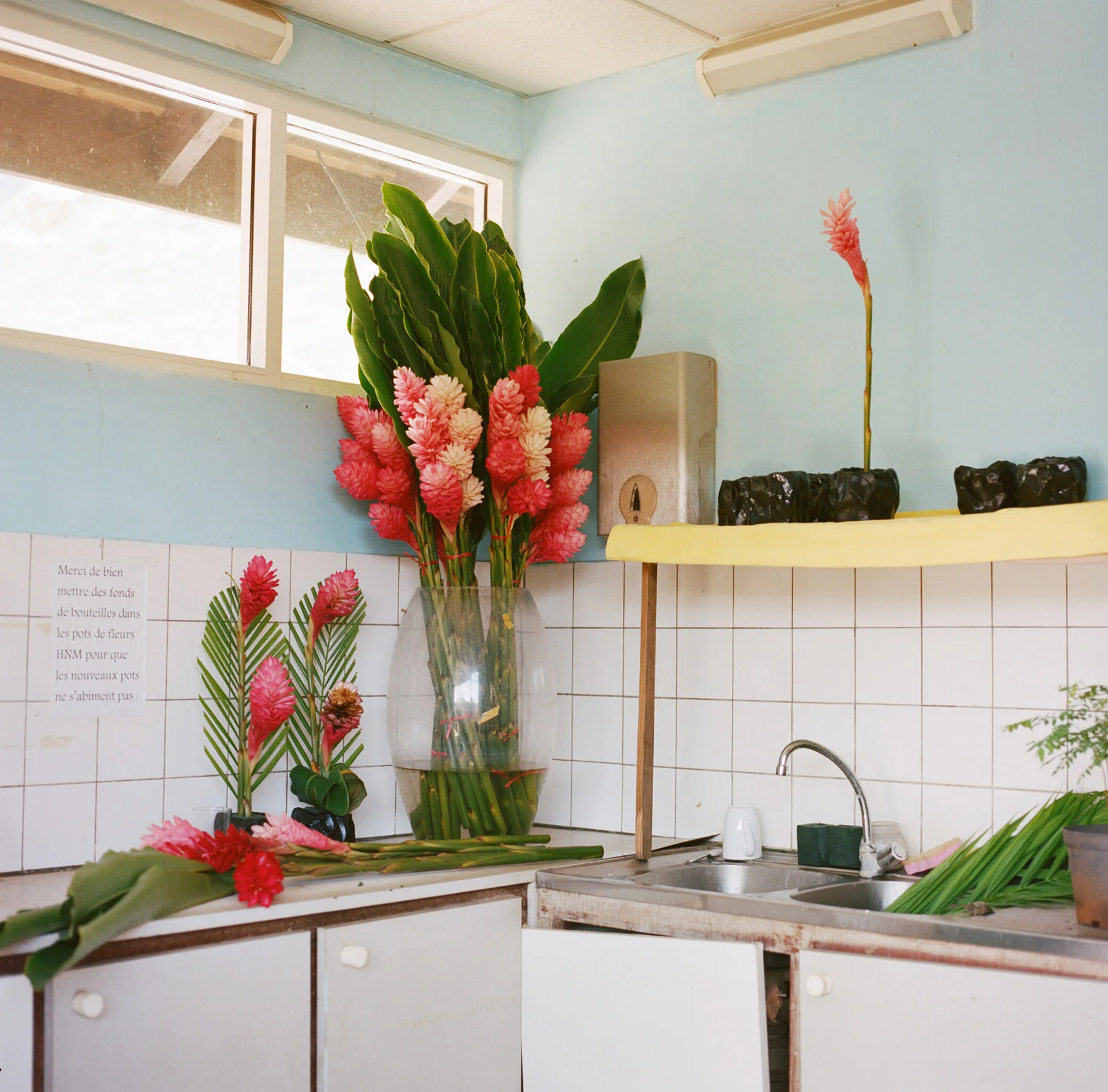 tahiti-hotel-intercontinental-patrick-fraser-08.jpg