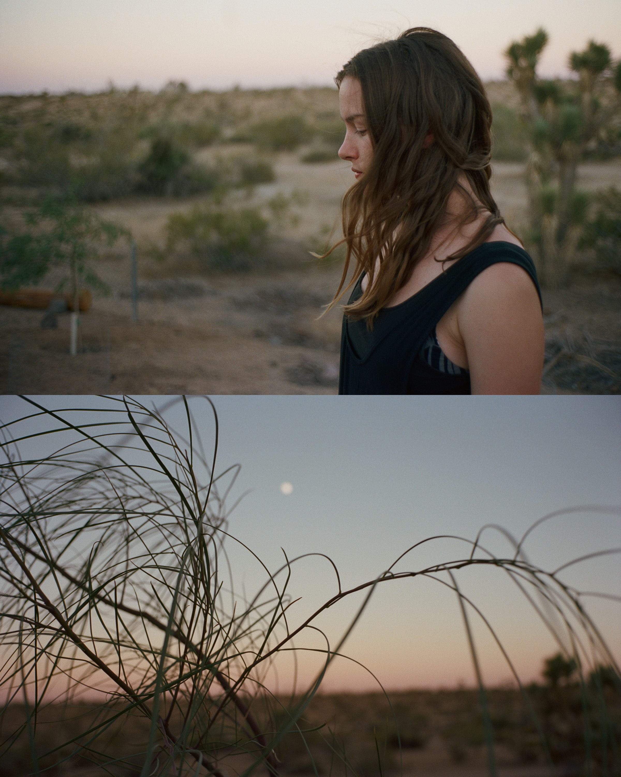 lara-joshua-tree-ca-landscape-by-patrick-fraser.jpg