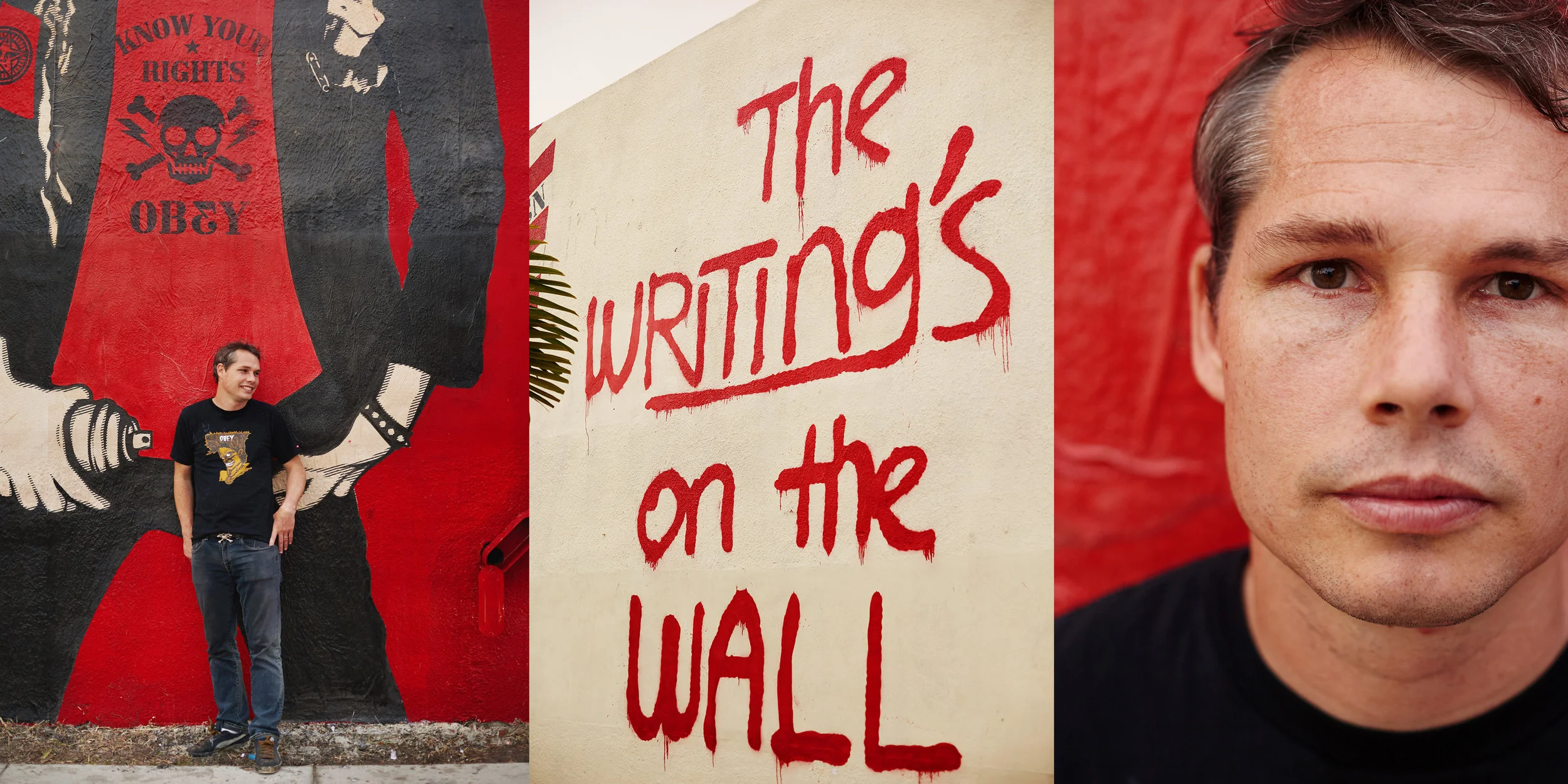 Shepard Fairey, artist